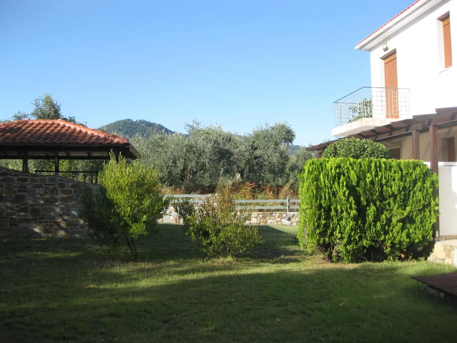 Gallery image 11 for Project with Plaster